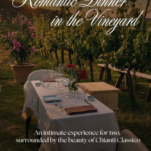 Romantic Dinner in the wineyard
