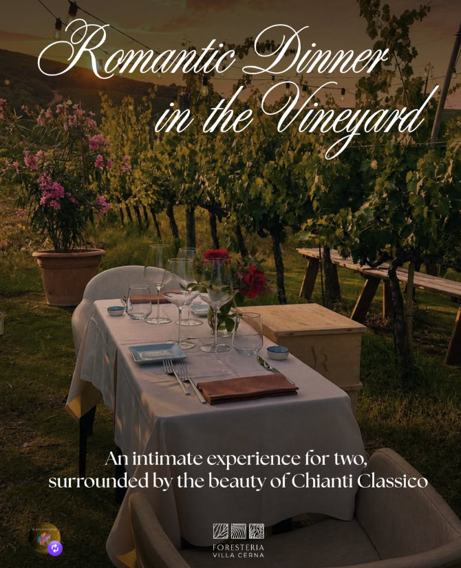 Romantic Dinner in the wineyard